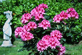 Le printemps est là !