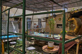 Trois photos pour une rencontre (2)