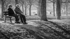 A quoi pensent-ils ?