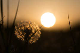 Larousse au couchant