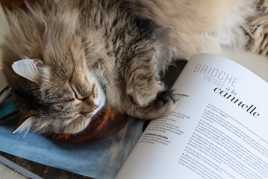 On n'a pas fait mieux