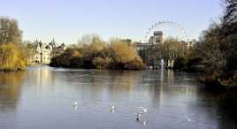 Ambiance glaciale sur St James's Park