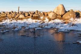 Un matin en Aubrac