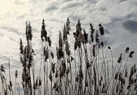 Prendre de la hauteur