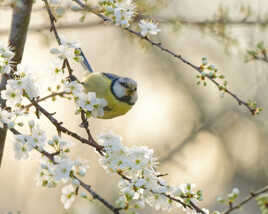 Quelques jours d'avance...