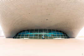 [o] - Dans la gueule du requin