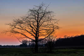 Au crépuscule de sa vie