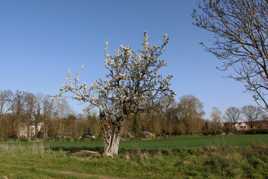 papy fait de la résistance 1
