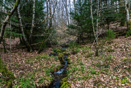 Les petits ruisseaux font de grandes rivières