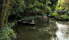 Une impression de Giverny (11)