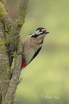 Je crois être observé.