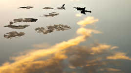 Feuilles et reflet de nuage