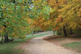 Chemin de L'automne