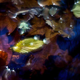 Hélios et la feuille