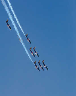 Piqué en formation serrée !