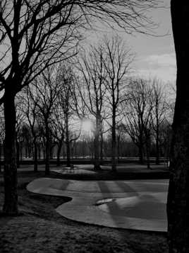 Skate park au coeur du jardin public