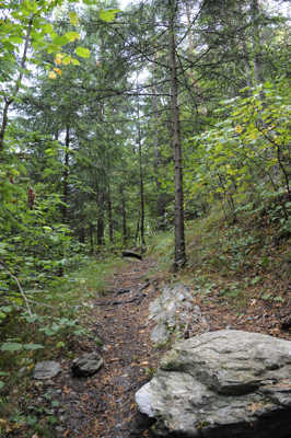 Invitation à la balade