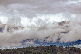 Looking for the summer