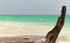 Plage de Zanzibar