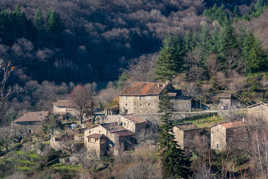 Village