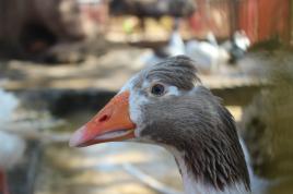 ta d'beau yeux tu sais !