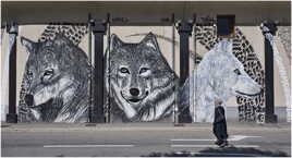 Les loups