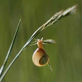 Plus dur serait la chute...