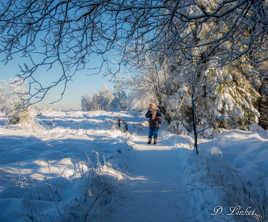 La Fagne sous la neige. 10