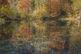 Reflet d Automne 2