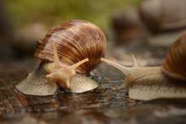 Beau temps, n'est-il pas?
