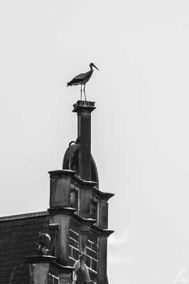 Regard sur la Grande Région