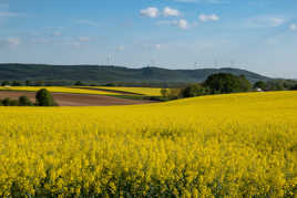 Campagne printanière