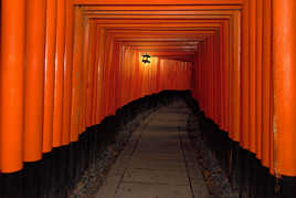 Torii tunnel