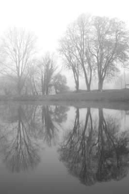 Reflets glacés