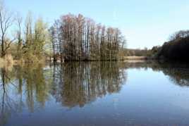 Miroir mon beau miroir.