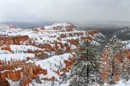 Bryce canyon