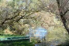 5 - Paysage de Camargue