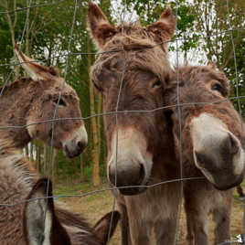 qu'est ce que tu nous veux ....