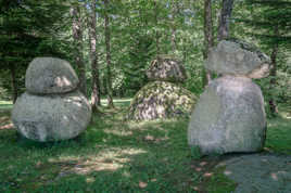 Une belle cueillette