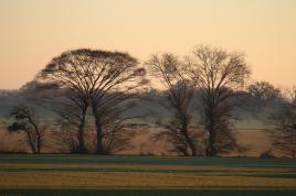 je t'aime ..moi non plus.