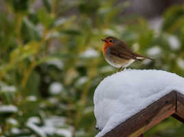 Rencontre de ce matin