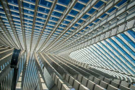 Les Guillemins 5