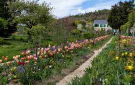 Une impression de Giverny (6)