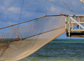 pêche à la lumière