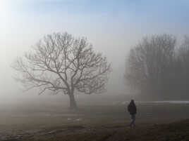 Promeneur dans la brume