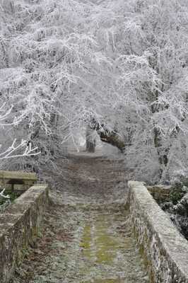 CHEMIN VERS LE PAYS DE GLACE