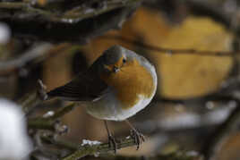 Bien à l'abri des regards