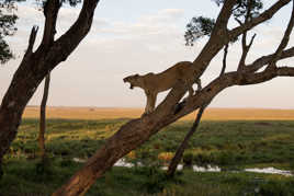 Aaaah , vivement le Week end