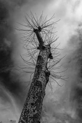 il est où ?? le soleil