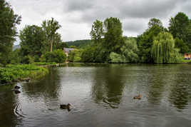 La grand mare des...